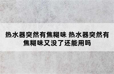 热水器突然有焦糊味 热水器突然有焦糊味又没了还能用吗